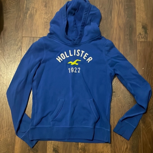 Hollister Other - Hollister Blue Hoodie